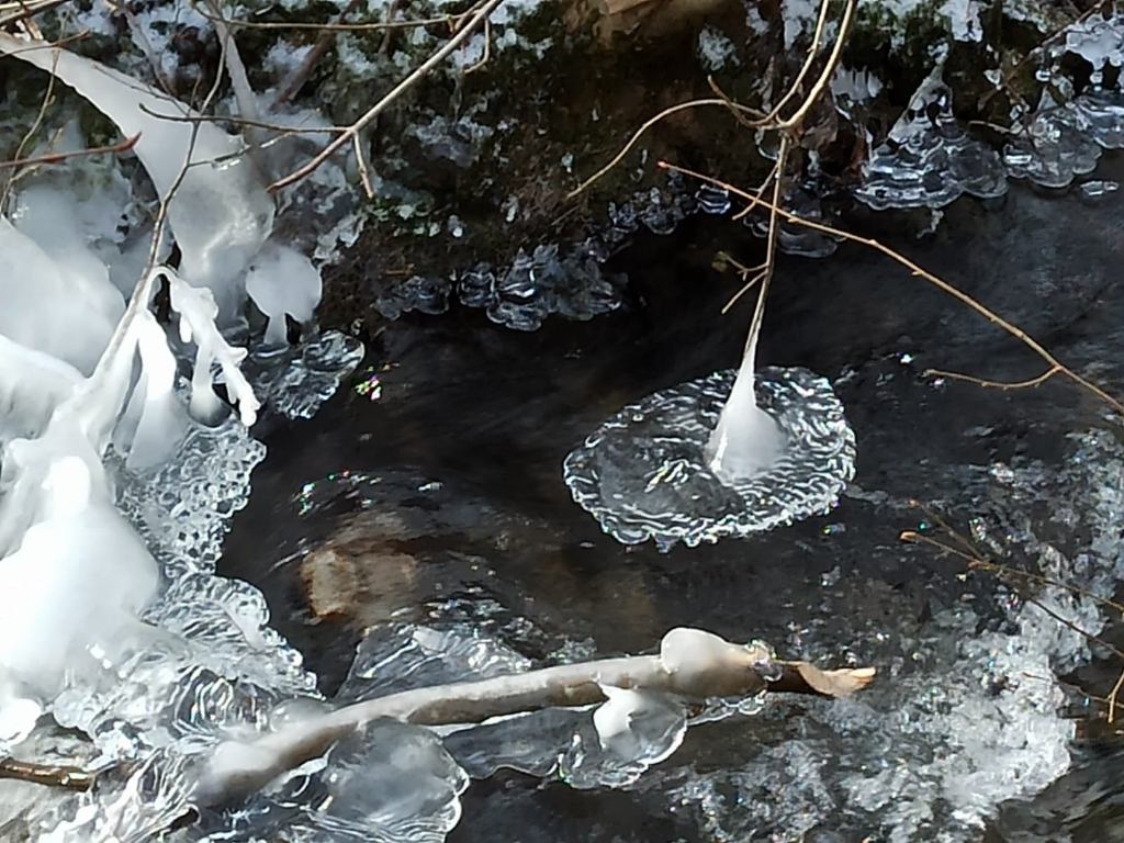 eis_auf_wasser.jpg