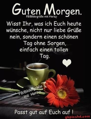 fd586dd1646915cee250e12028c690d0.jpg