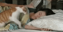 goodmorning-pet.gif