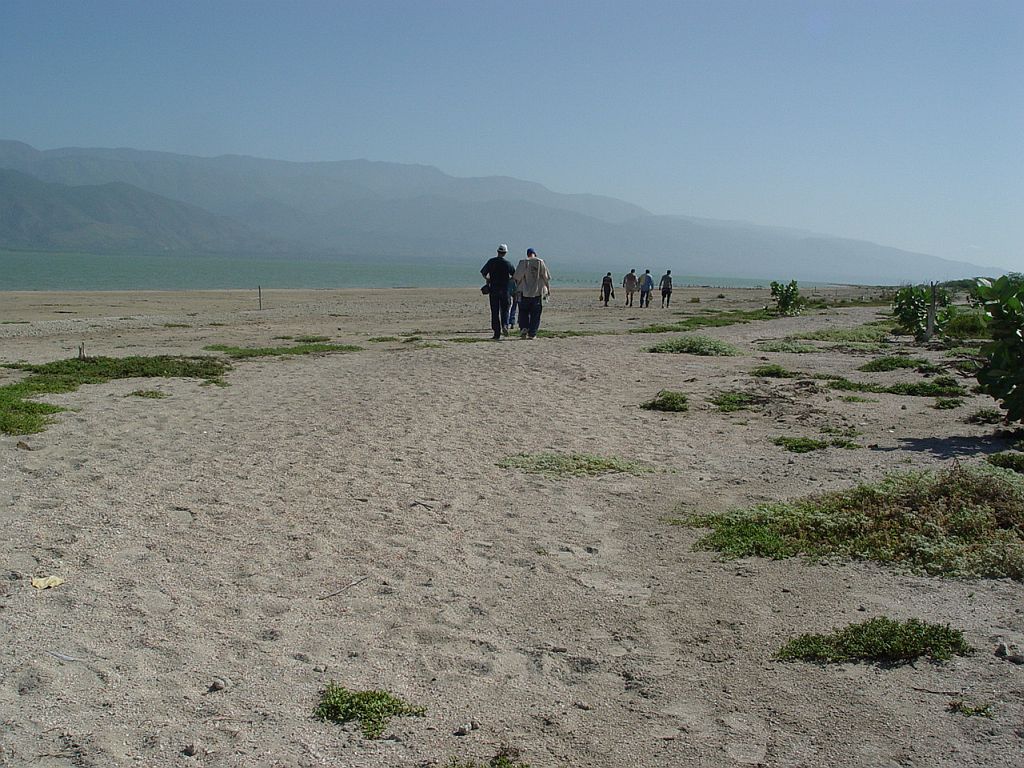 do06.jpg