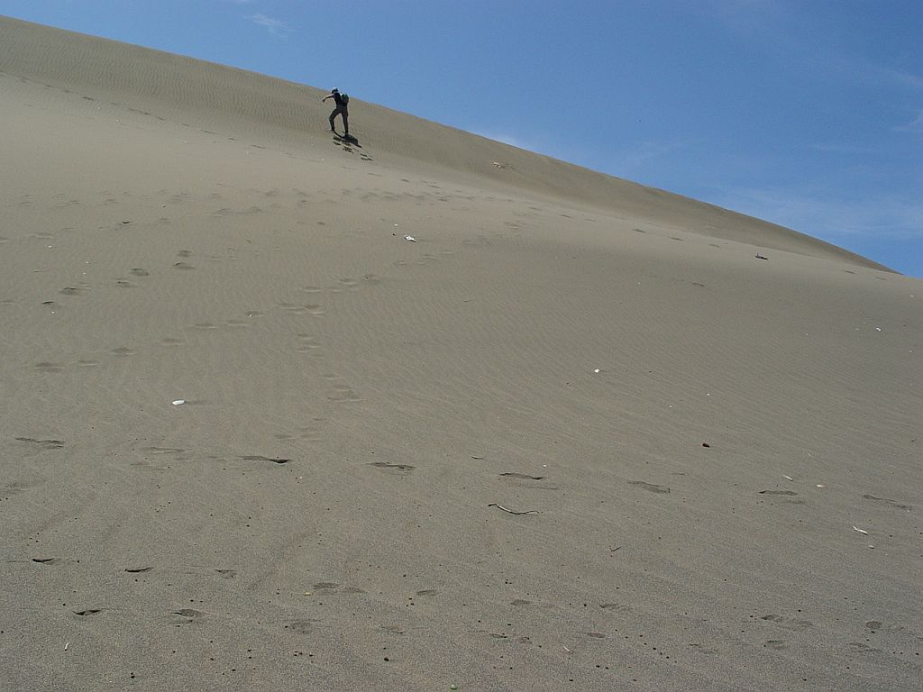 do07.jpg