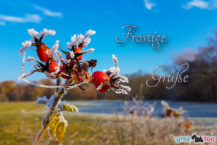 9961-000034_frost-hagebutte_frostige-....jpg