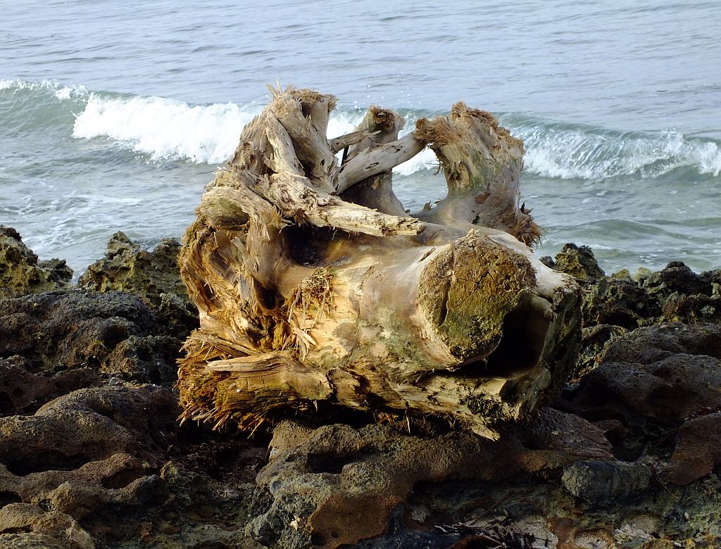 holz_angesp__lt.jpg