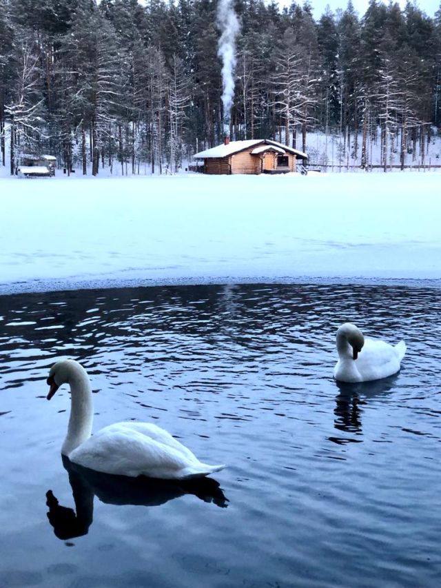 januar_2022_12.jpg