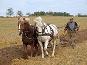 180px-farmer_plowing.jpg