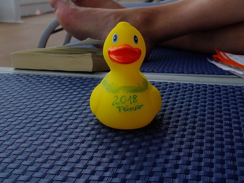 ente-gelb.jpg