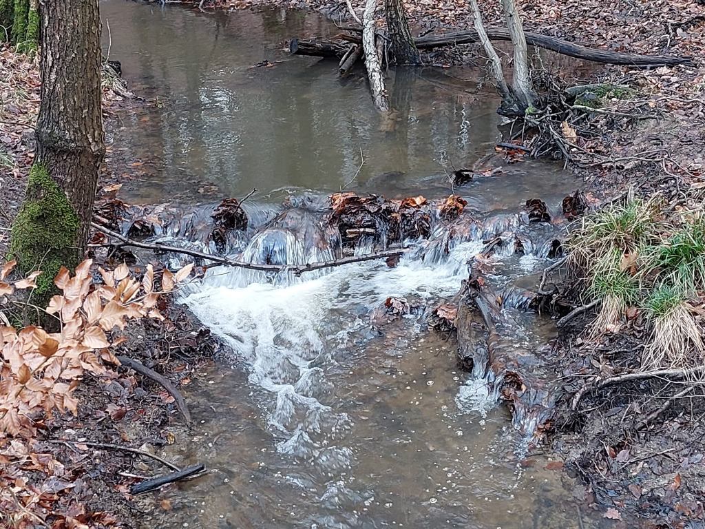 bachlauf.jpg