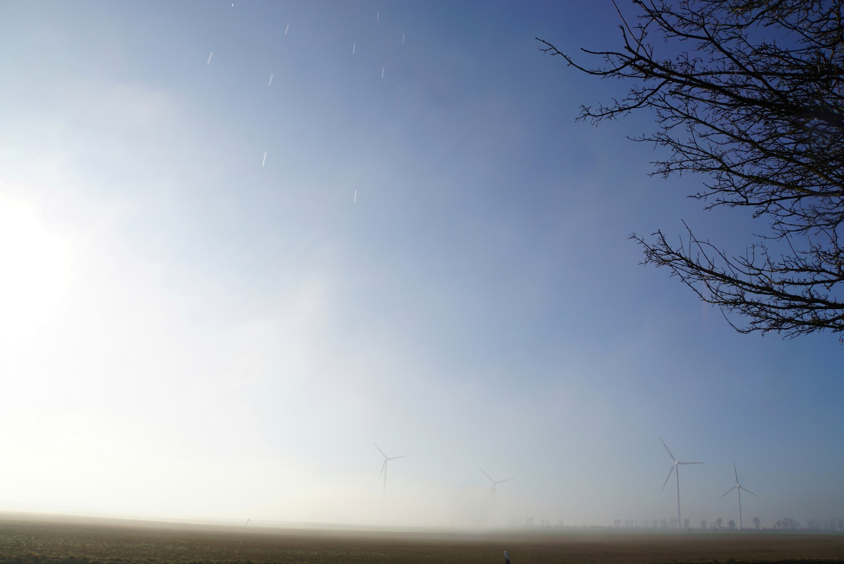 nebel_sonne_und_tropfen.jpeg