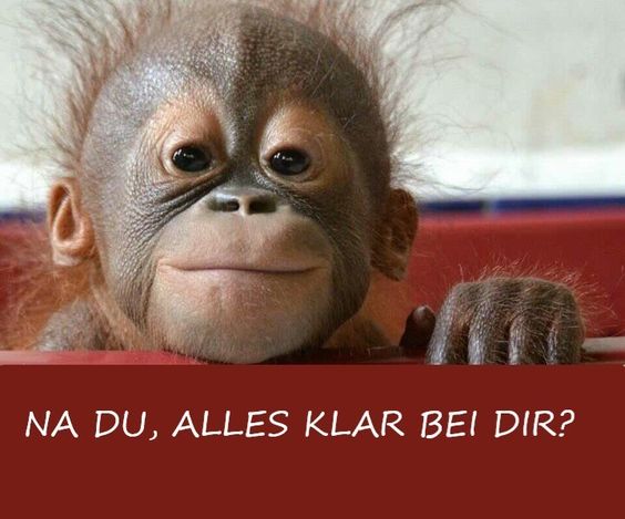 b6b51aaea954cde3bcb1d3b0e3fa4e17.jpg