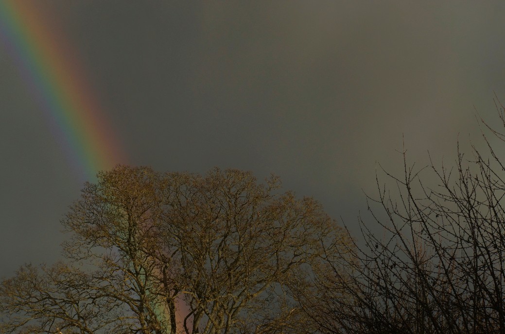 regenbogen_1_jan_2022.jpeg