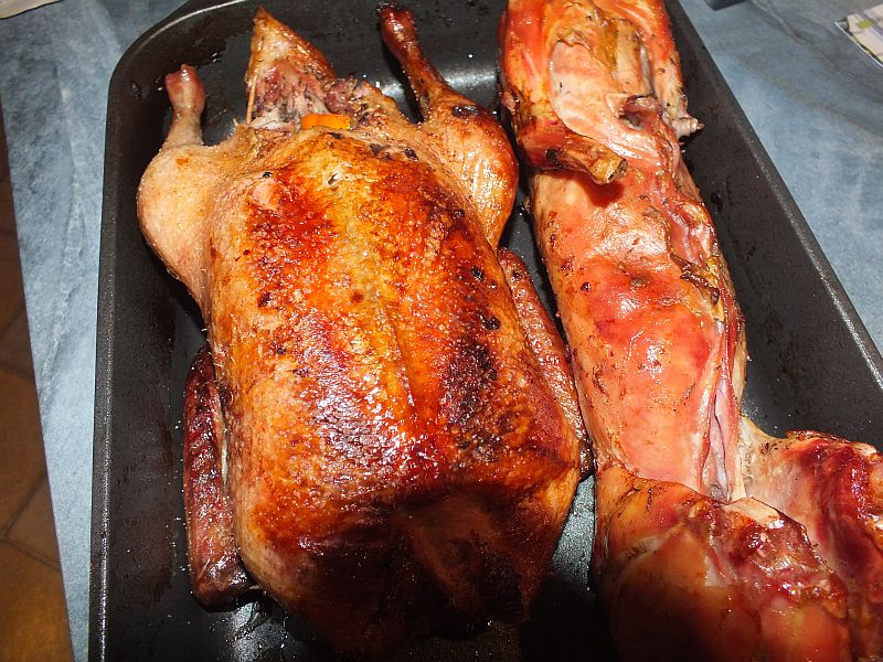 karnickelschwein.jpg