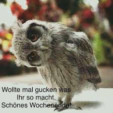 sch__nes_wochenende.jpg