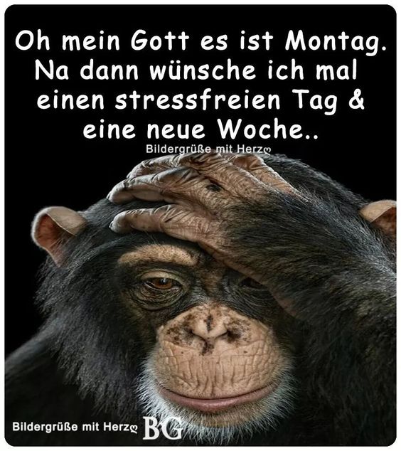 montag.jpg