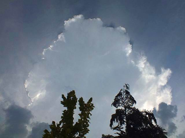 wolke02.jpg