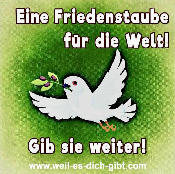 friedenstaube.jpg