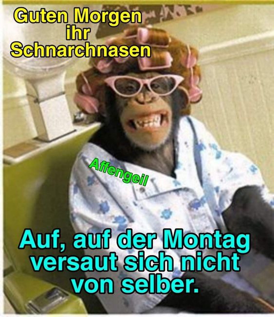 5df75f8985cf2915c599163b345ef6c7.jpg