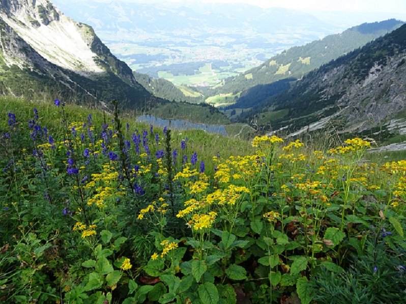 bild_gaisalpsee35.jpg