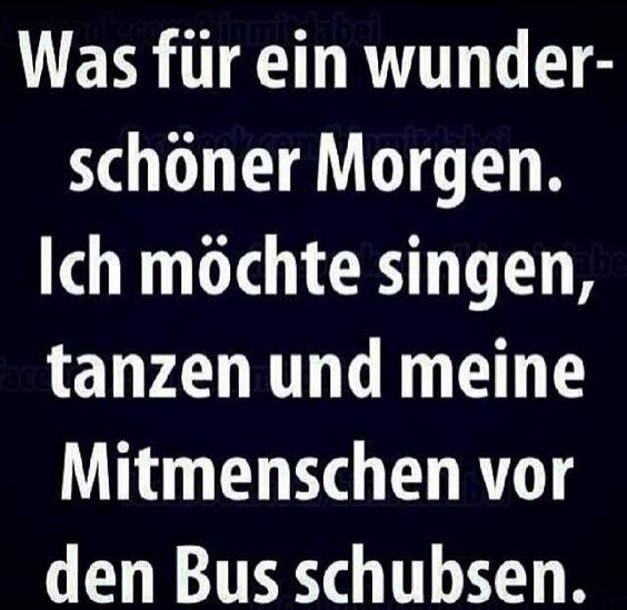 bus_schuppsen.jpg