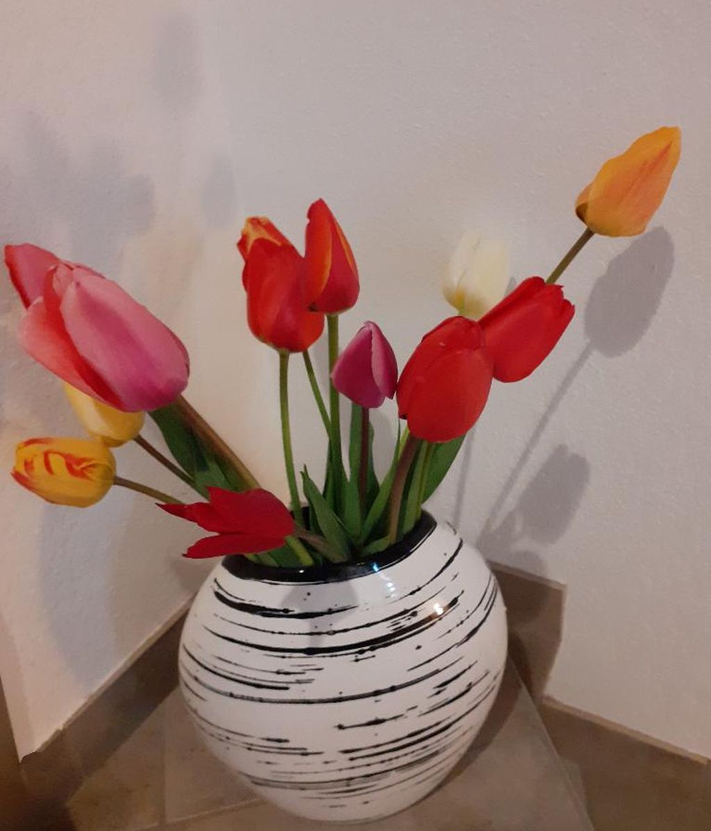 tulpen2.jpg