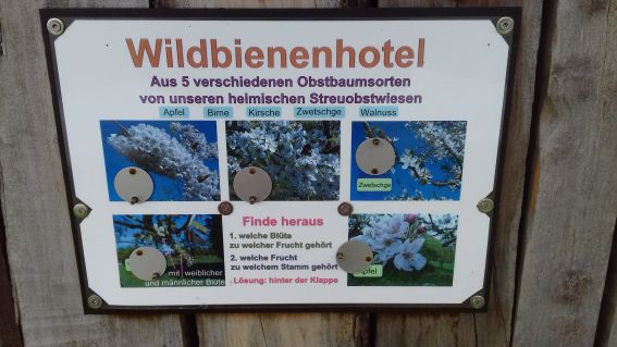 20220408_101152wildbienenhotel.jpg