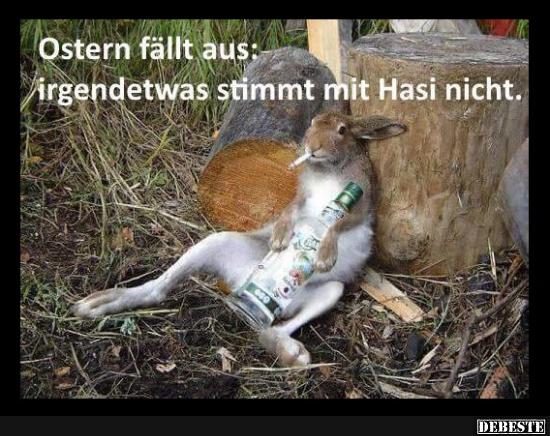 ostern_f__llt_aus.jpg