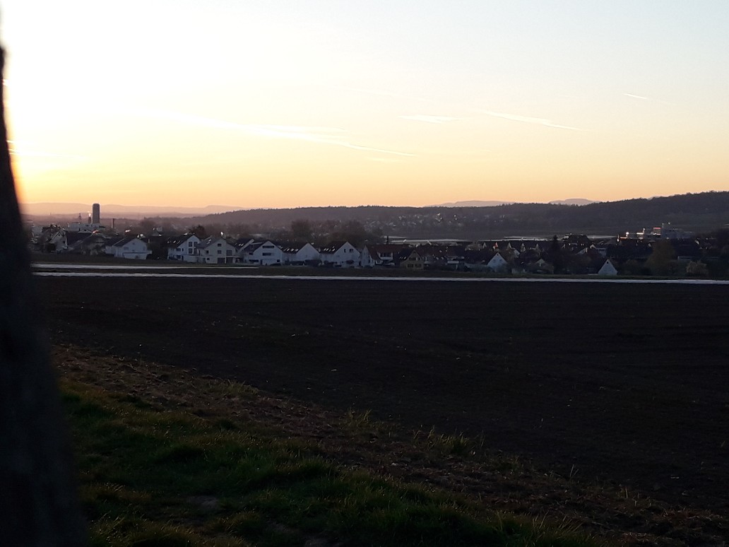 20220417_064159.jpg