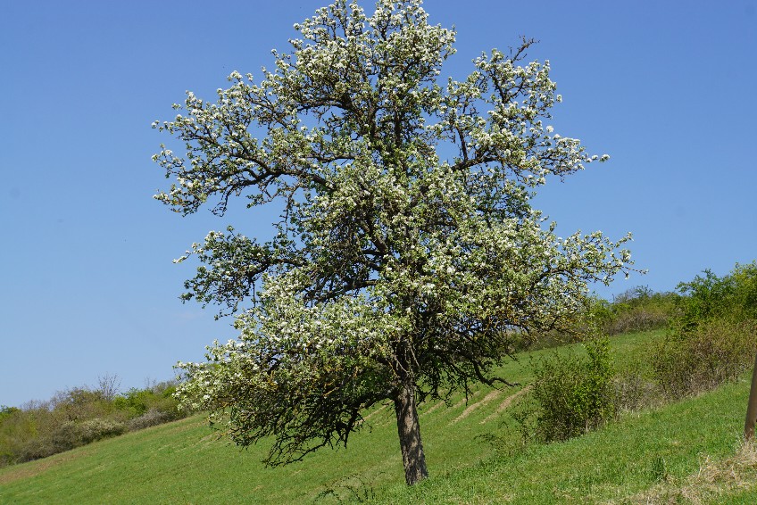 baum_april_2022.jpg