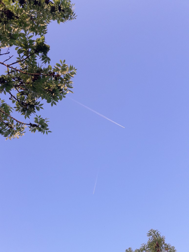 20220512_065019.jpg