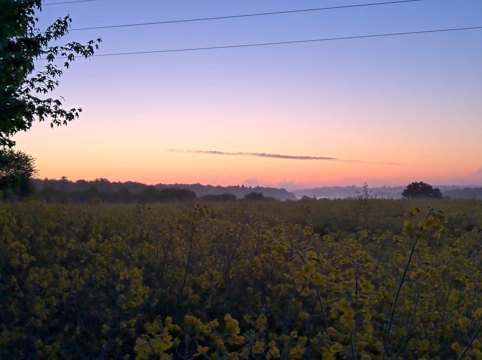 img_20220515_043937.jpg