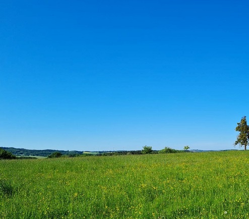 weitolblick.jpg