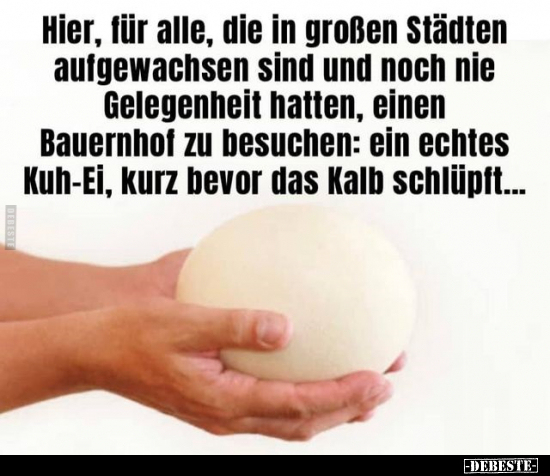 be852bd5edd9194b86f0b92cb4d0458c1300.jpg