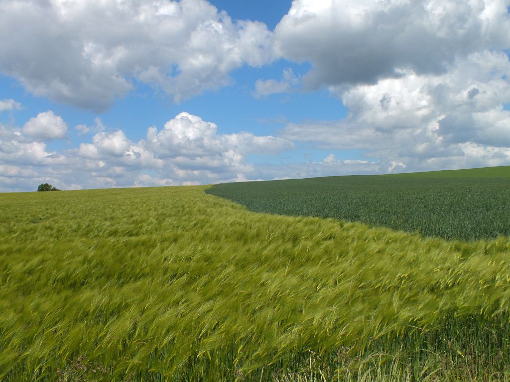 natur.jpg