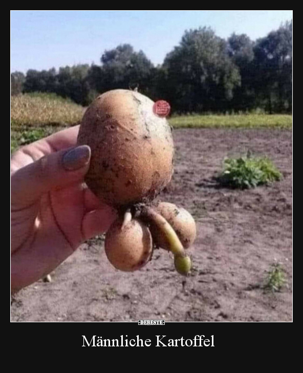 6acbd6f4b0e01e69e25f3ef9c97549cb5076.jpg