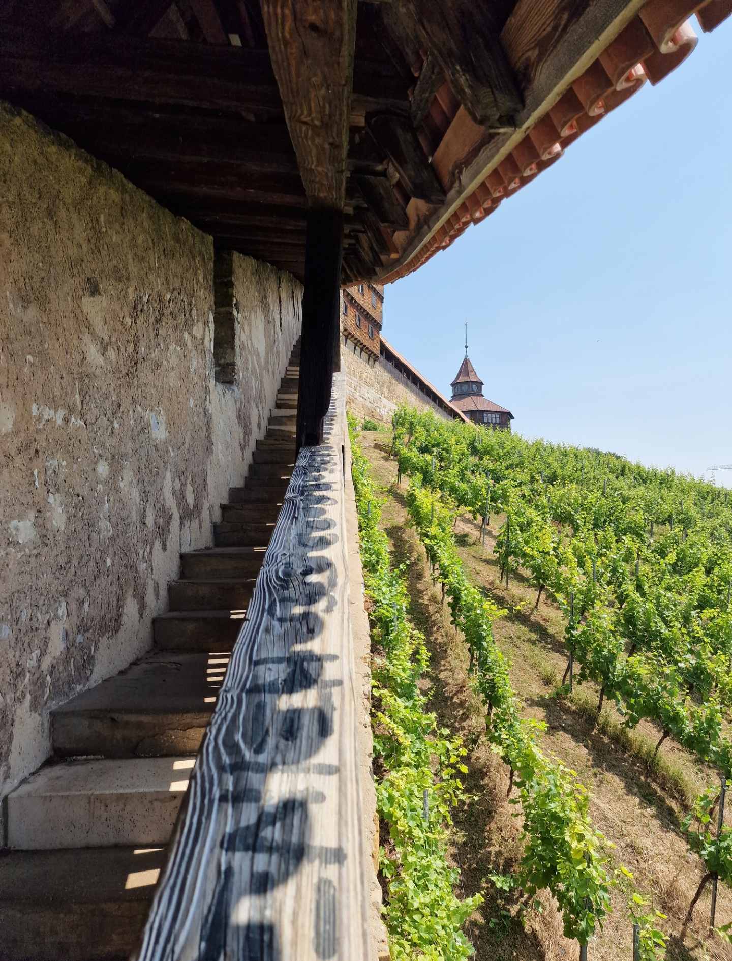 20220619-182350_weinberg-burg_gallery.jpg