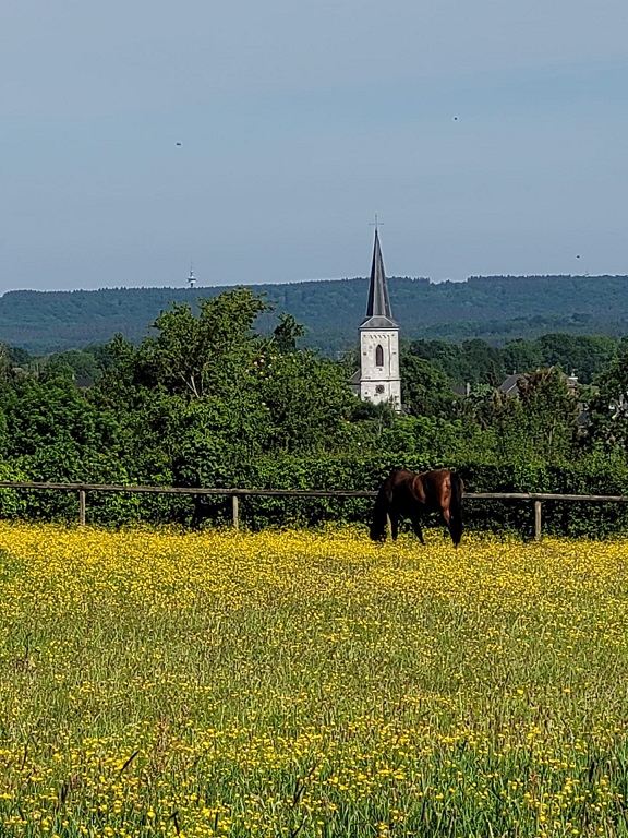 kirche_mit_pferd.jpg