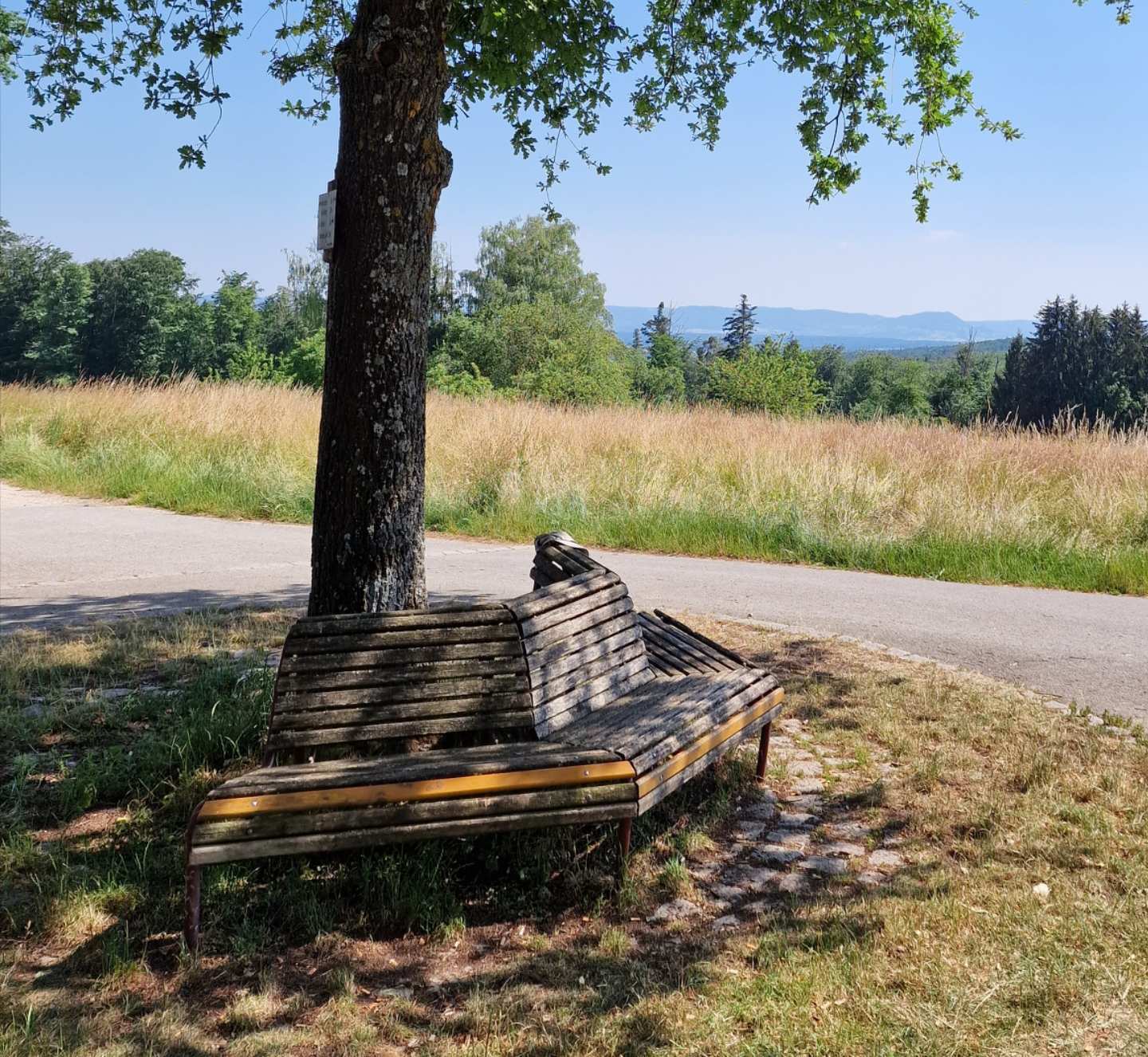 20220621-193711_schurwald.jpg