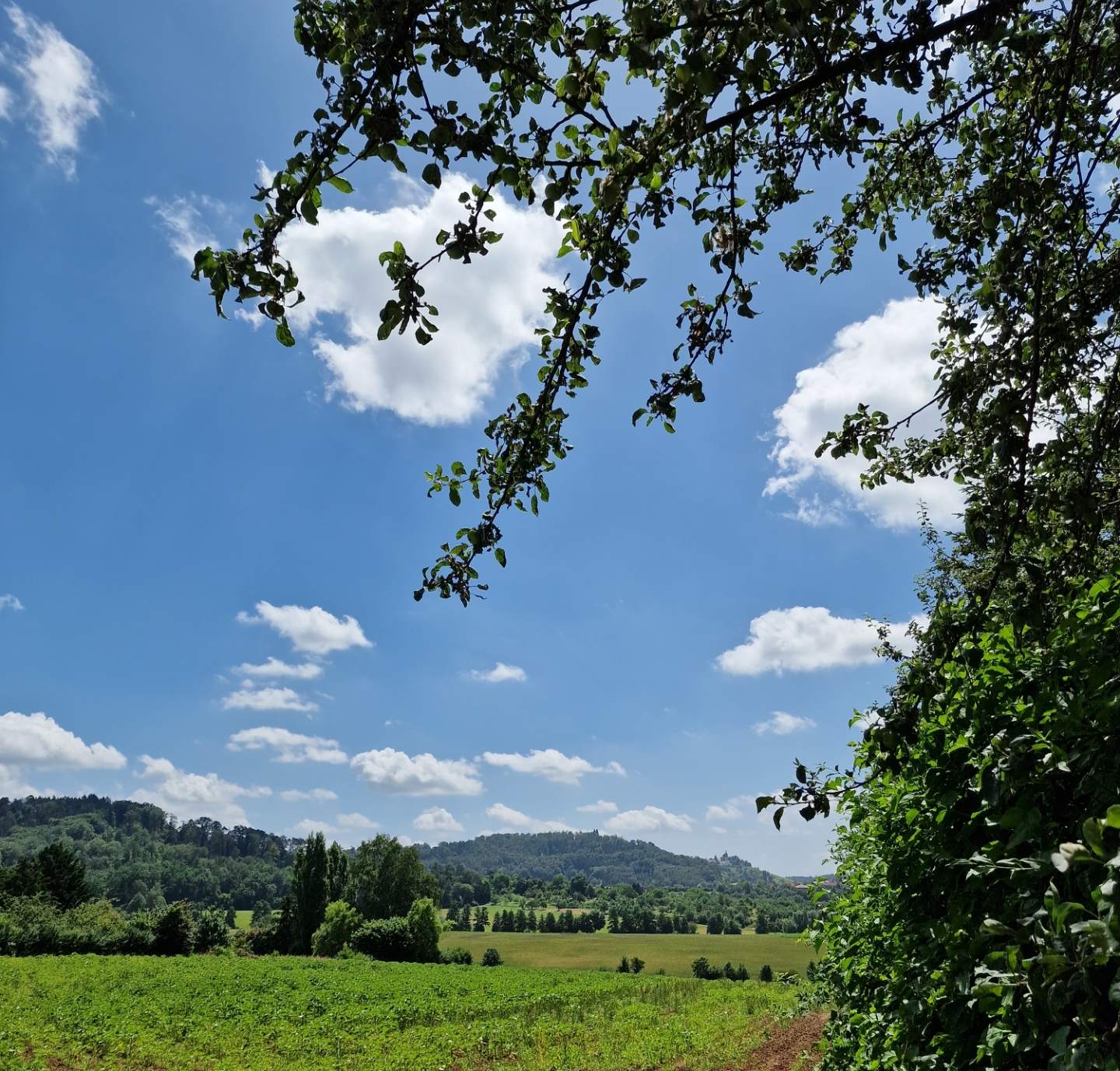 20220623-164738_nellmersbach.jpg