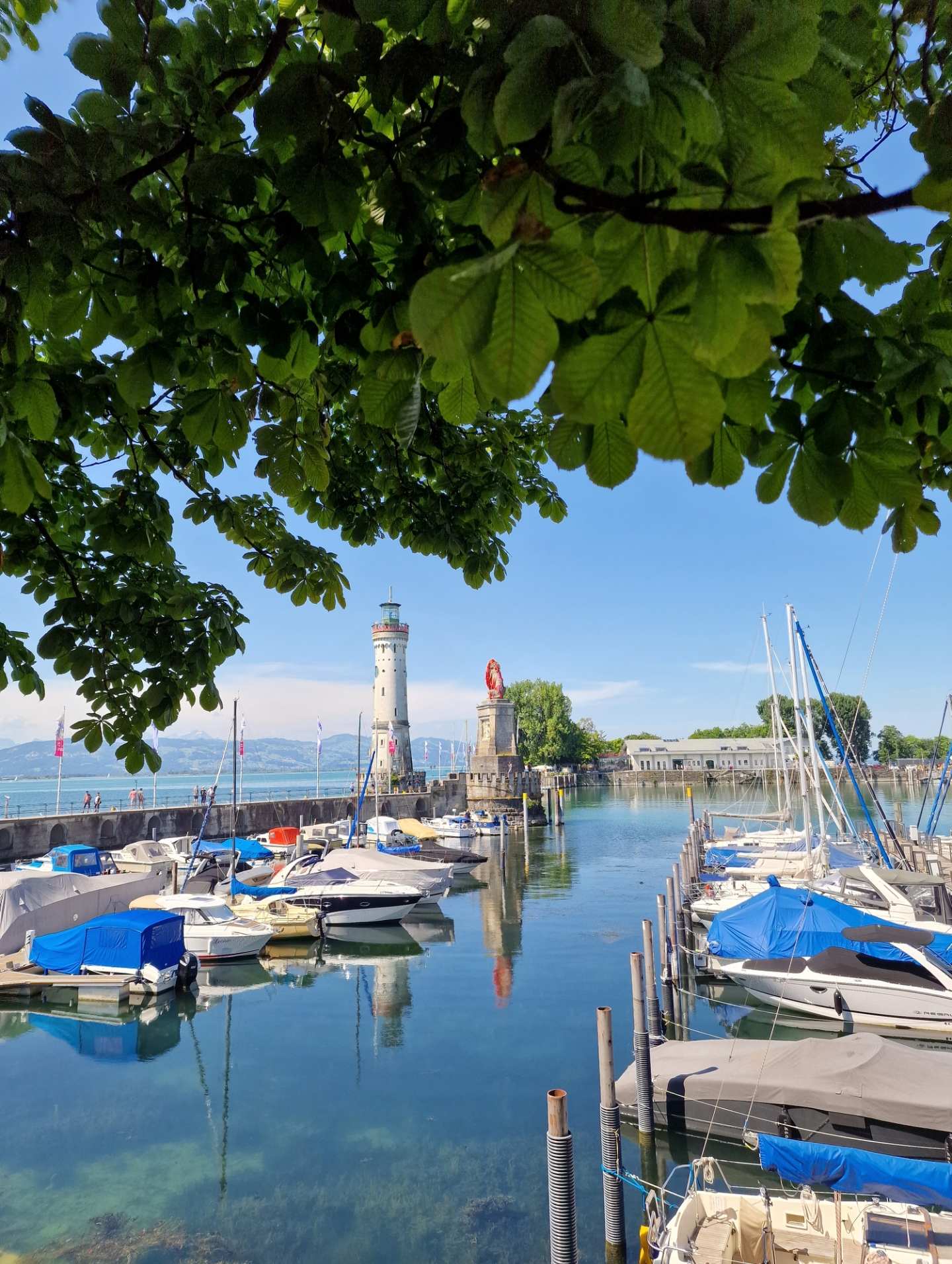 20220630-164401_lindau_hafen.jpg