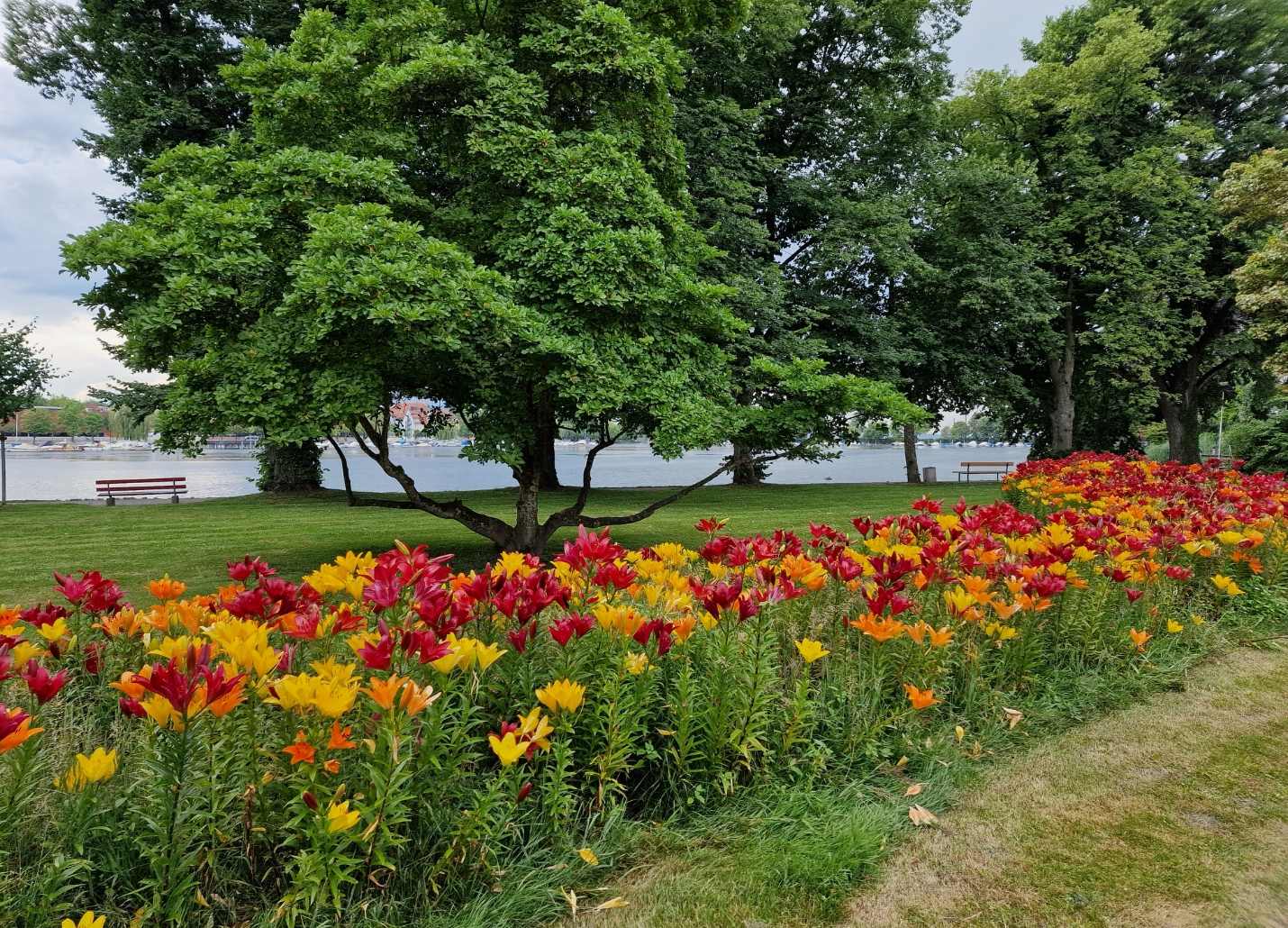 20220630-213554_ufer_lindau.jpg