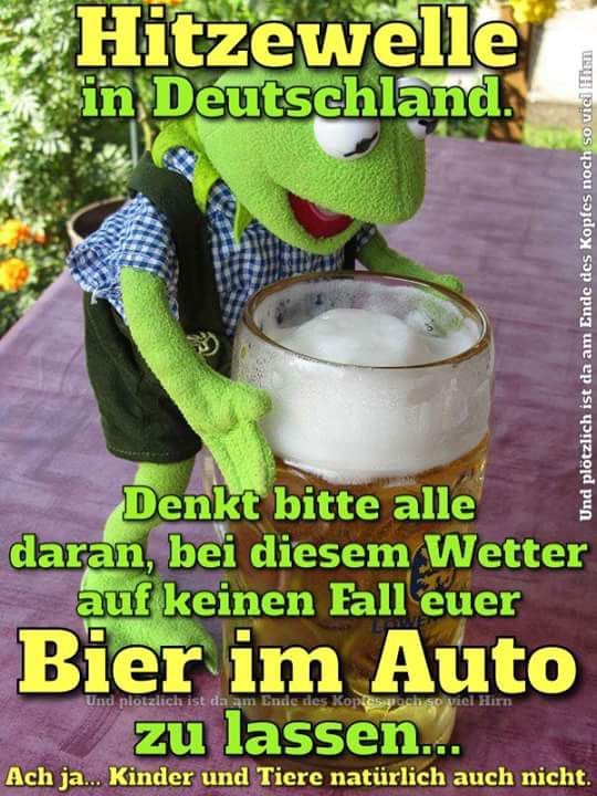 785537c8ad869a896cb47d9884043d4a.jpg
