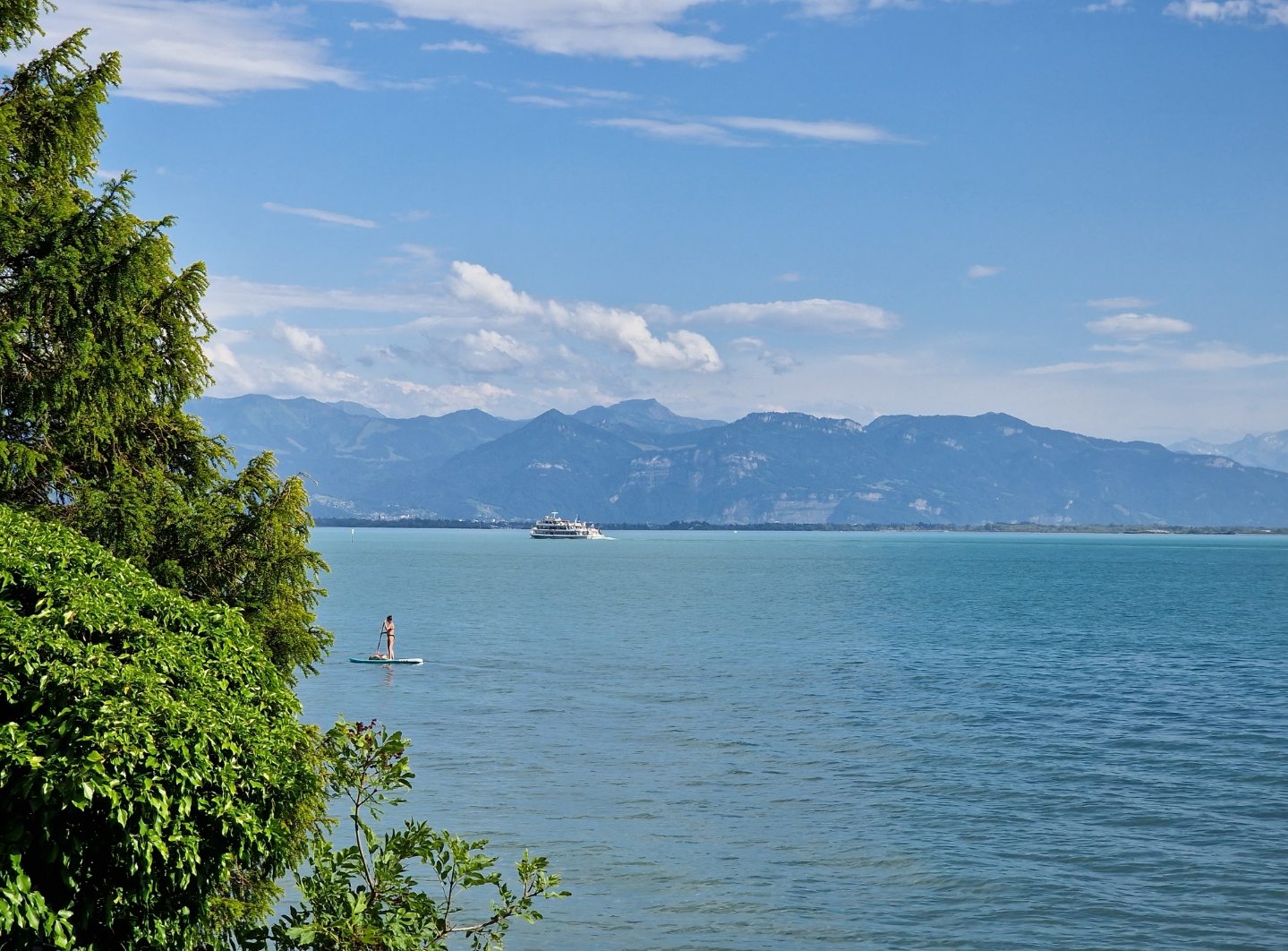 20220702-165704_seeblick.jpg