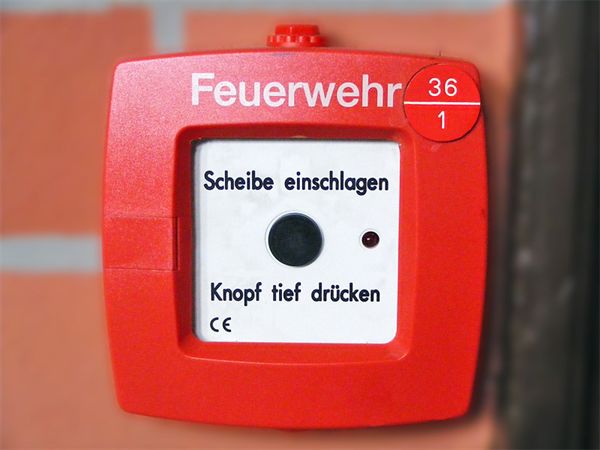 215.jpg