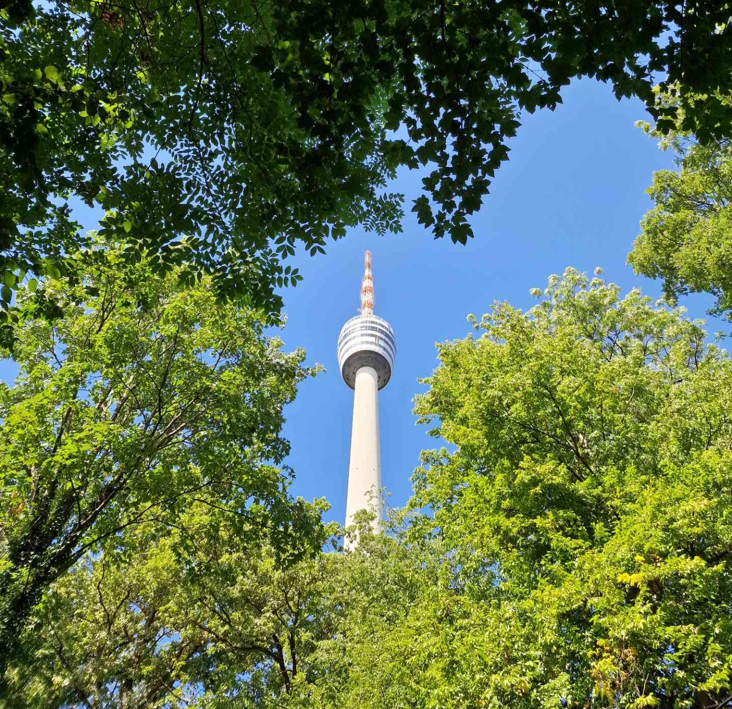 20220807-fernsehturm.jpg