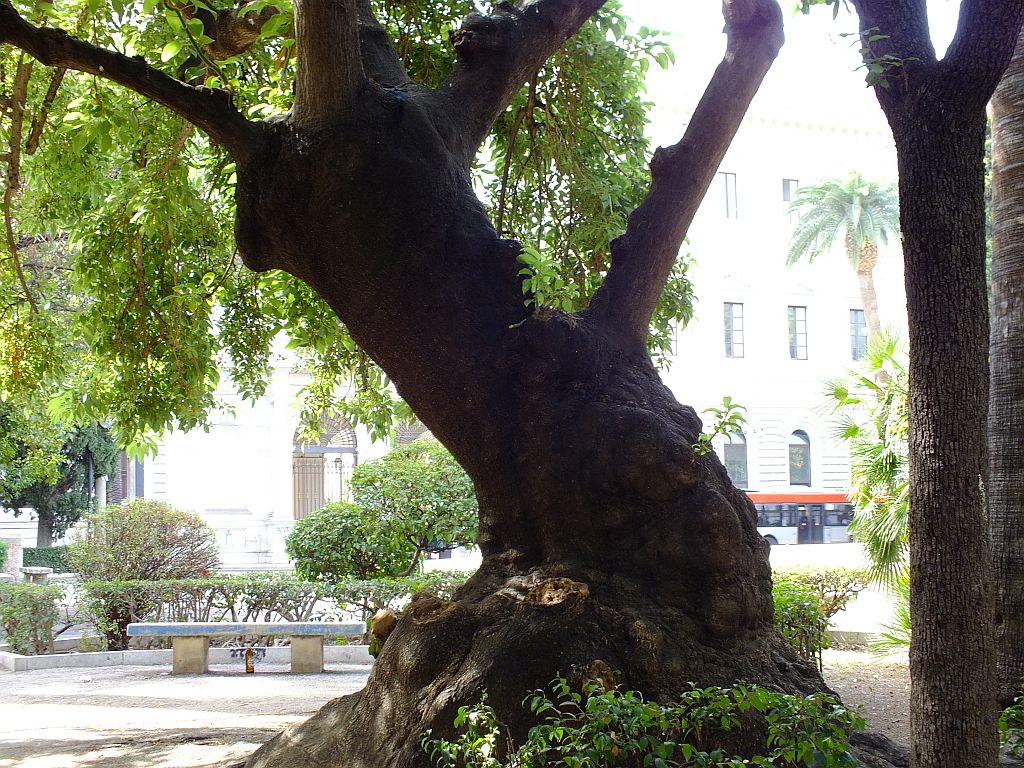 bank_neben_einem_baum.jpg