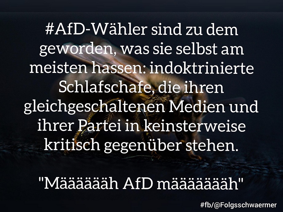 afd997.jpg