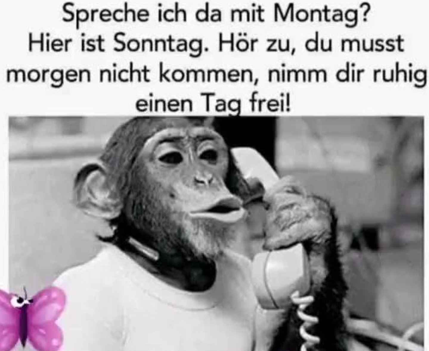 montag_am_telefon_hhmm__172808_712160.jpg