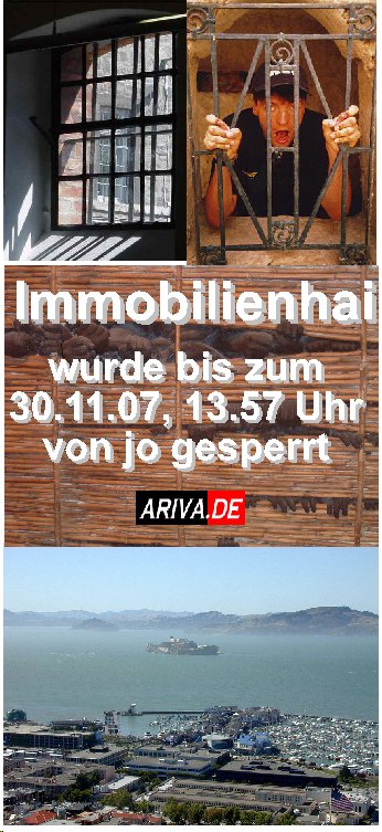 immobilienhai.jpg