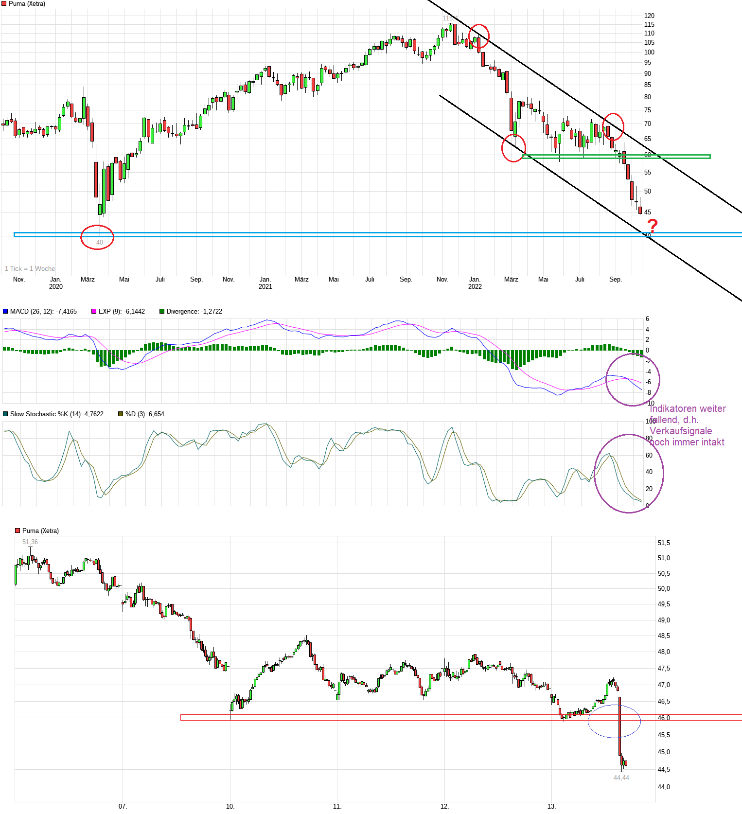 chart_3years_puma.png