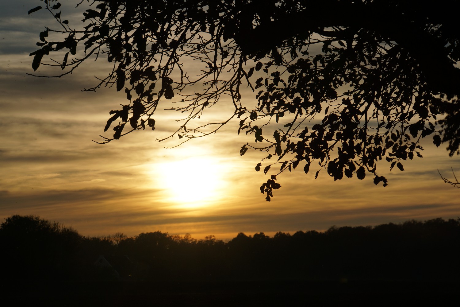 sonnenuntergang2_nov_2022.jpg