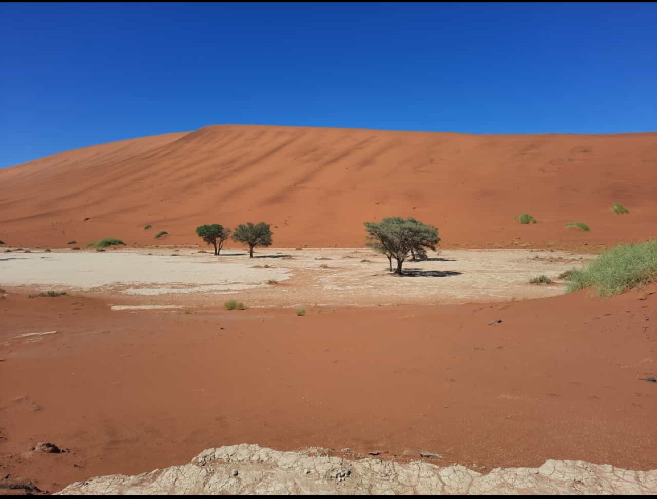 namibia_20221123-194121_2.jpg